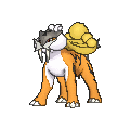 Raikou - X Y (Shiny)