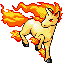 Rapidash - Ruby Sapphire (Normal)