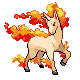 Rapidash - Platinum (Normal)