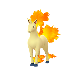 Rapidash - GO (Normal)