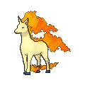 Rapidash - X Y (Normal)