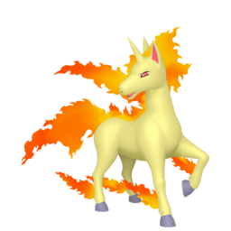 Rapidash - Home