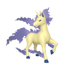 Rapidash - Home