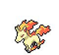Rapidash - Sword Shield
