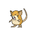 Raticate - X Y (Normal)