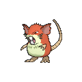Raticate - X Y (Shiny)