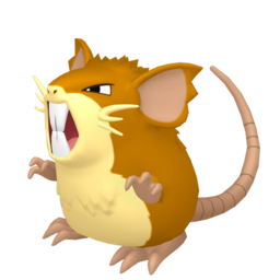 Raticate - Home