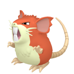 Raticate - Home