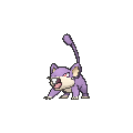 Rattata - X Y (Normal)