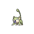 Rattata - X Y (Shiny)