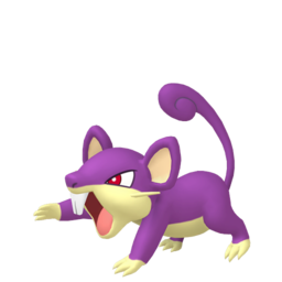 Rattata - Home