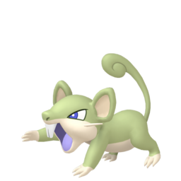 Rattata - Home