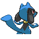 Riolu - Diamond Pearl (Back View)