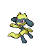 Riolu - Diamond Pearl (Shiny)