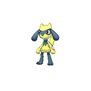 Riolu - Bank (Shiny)