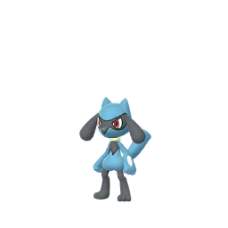 Riolu - GO (Normal)