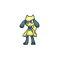 Riolu - X Y (Shiny)