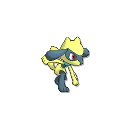 Riolu - Ultra Sun Ultra Moon Sun Moon (Shiny)