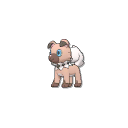 Rockruff - Sun Moon