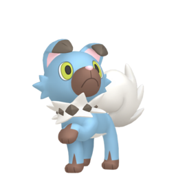 Rockruff - Home