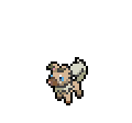 Rockruff - Sword Shield