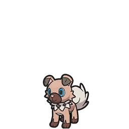Rockruff - Scarlet Violet