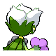Roserade - Diamond Pearl (Back View (Shiny))