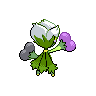 Roserade - Black White (Back View (Shiny))