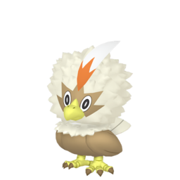 Rufflet - Home