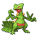 Sceptile - HeartGold SoulSilver (Normal)