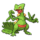 Sceptile - Platinum (Normal)
