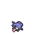 Shellder - Let_s Go Pikachu Let_s Go Eevee
