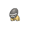 Shieldon - X Y (Normal)