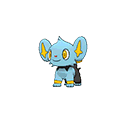 Shinx - Bank (Normal)