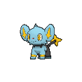 Shinx - X Y (Normal)