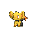 Shinx - X Y (Shiny)