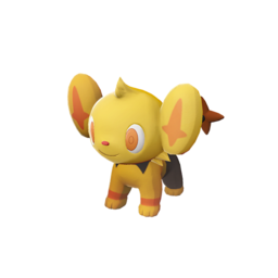 Shinx - Legends_ Arceus