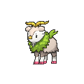 Skiddo - X Y (Shiny)