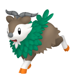Skiddo - Home