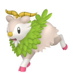 Skiddo - Home