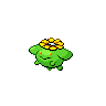 Skiploom - Black White (Normal)