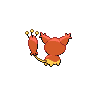 Skitty - Black White (Back View (Shiny))