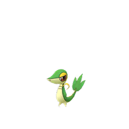Snivy - GO