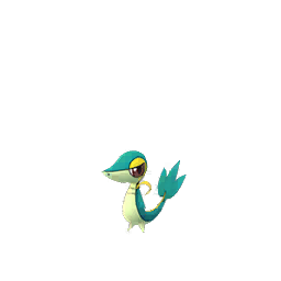 Snivy - GO (Shiny)