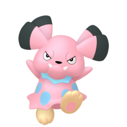Snubbull - Home