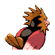 Spearow - Diamond Pearl (Back View)
