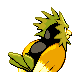 Spearow - HeartGold SoulSilver (Back View (Shiny))