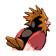 Spearow - HeartGold SoulSilver (Back View)