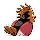 Spearow - Platinum (Back View)