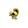 Spearow - Black White (Back View (Shiny))